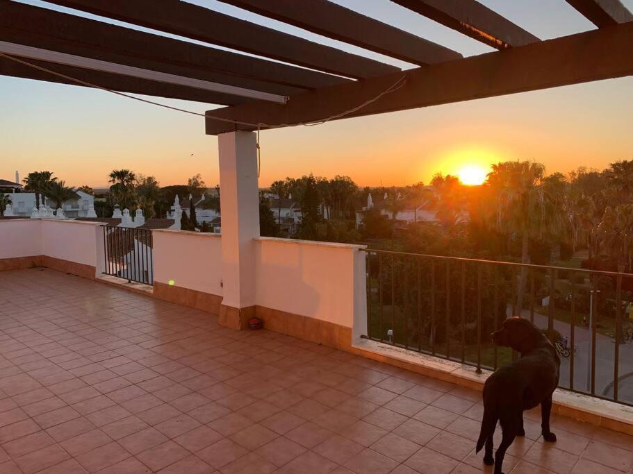 Atico Costa Ballena - Cadiz Рота Экстерьер фото